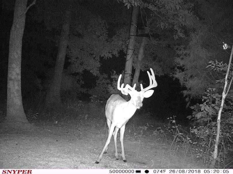 Trail cam23