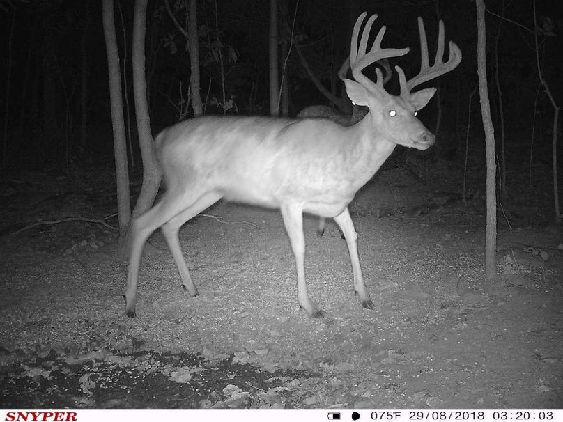 Trail cam24