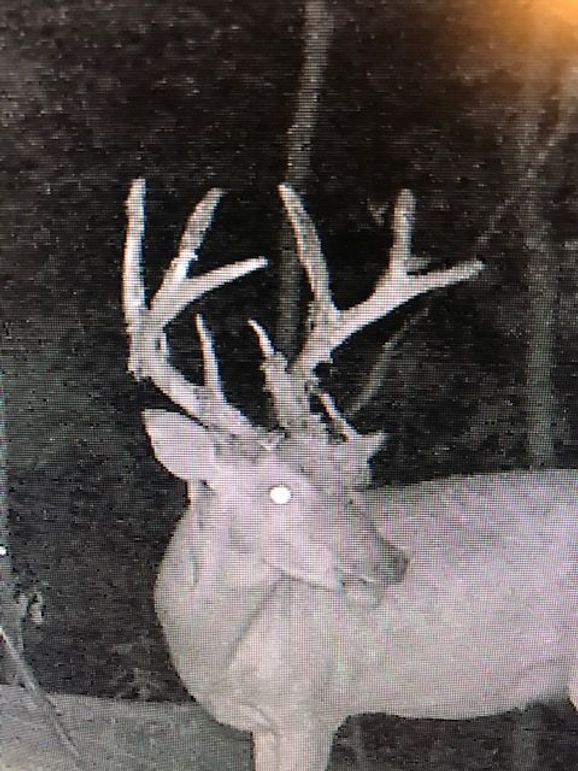 Trail cam27