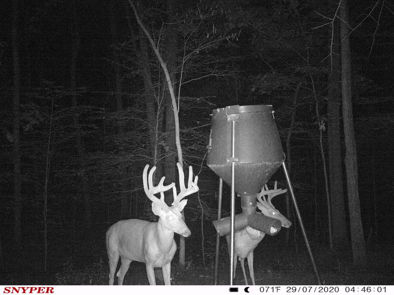 Trail cam29