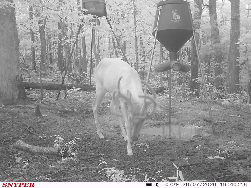 Trail cam30