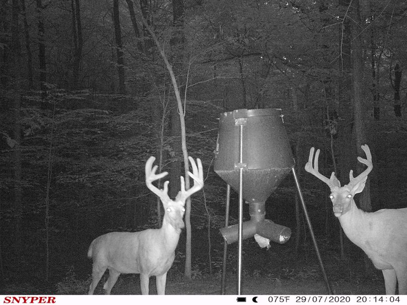 Trail cam31
