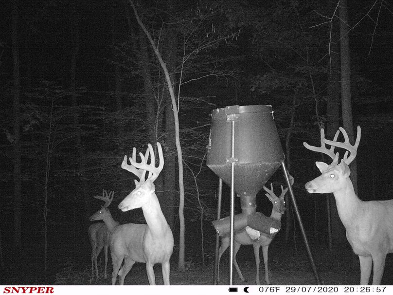Trail cam32