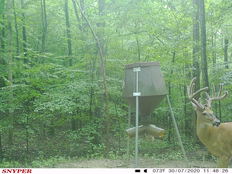Trail cam33