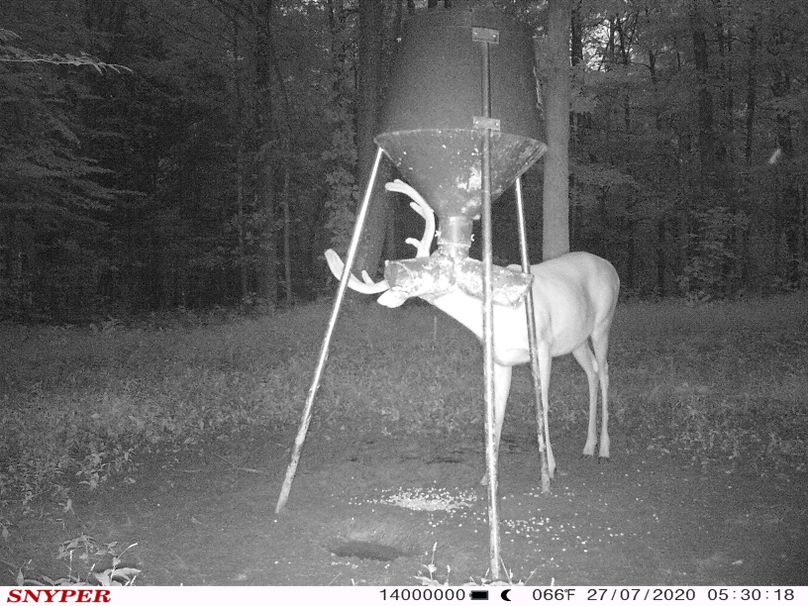 Trail cam34