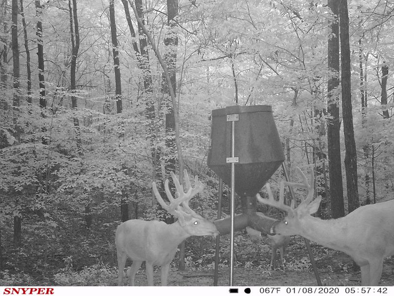 Trail cam35