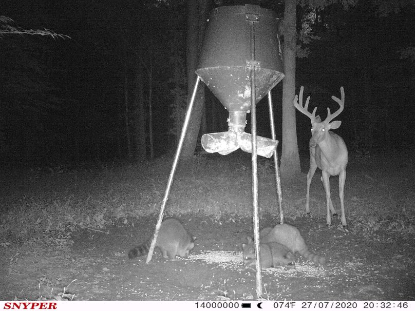 Trail cam36
