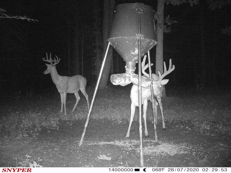 Trail cam37
