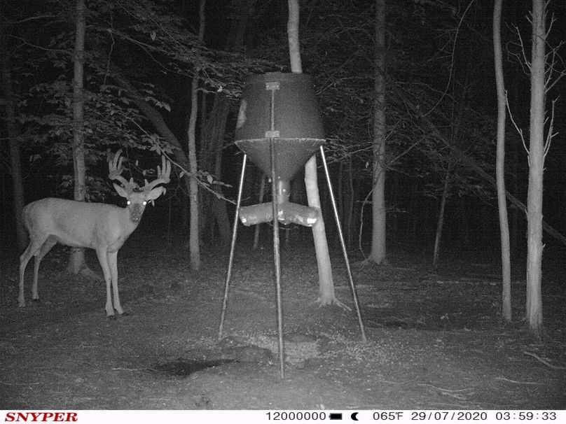 Trail cam38