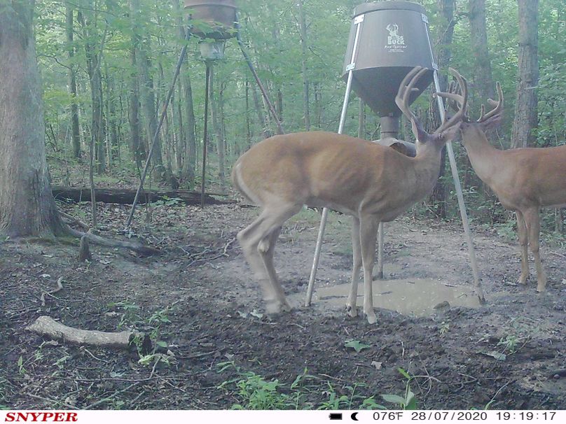 Trail cam39