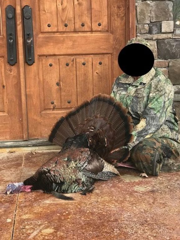 Turkey harvest3