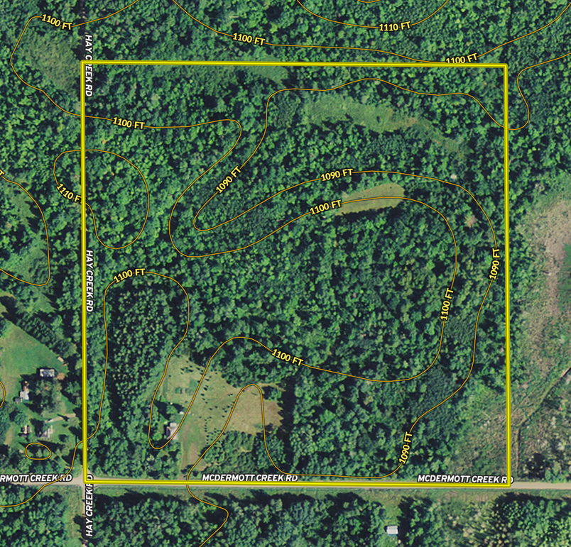 Screen shot 2020-08-21 at 1.11.45 pm