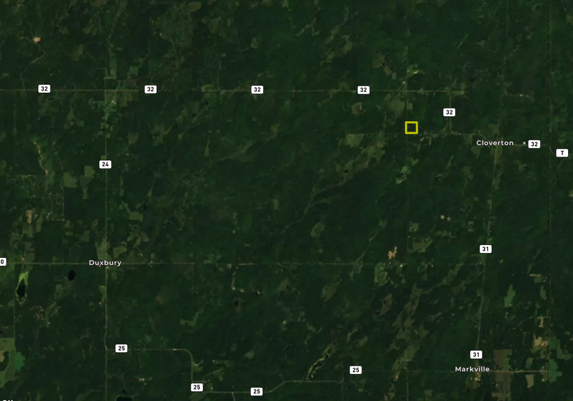 Screen shot 2020-08-21 at 1.12.29 pm