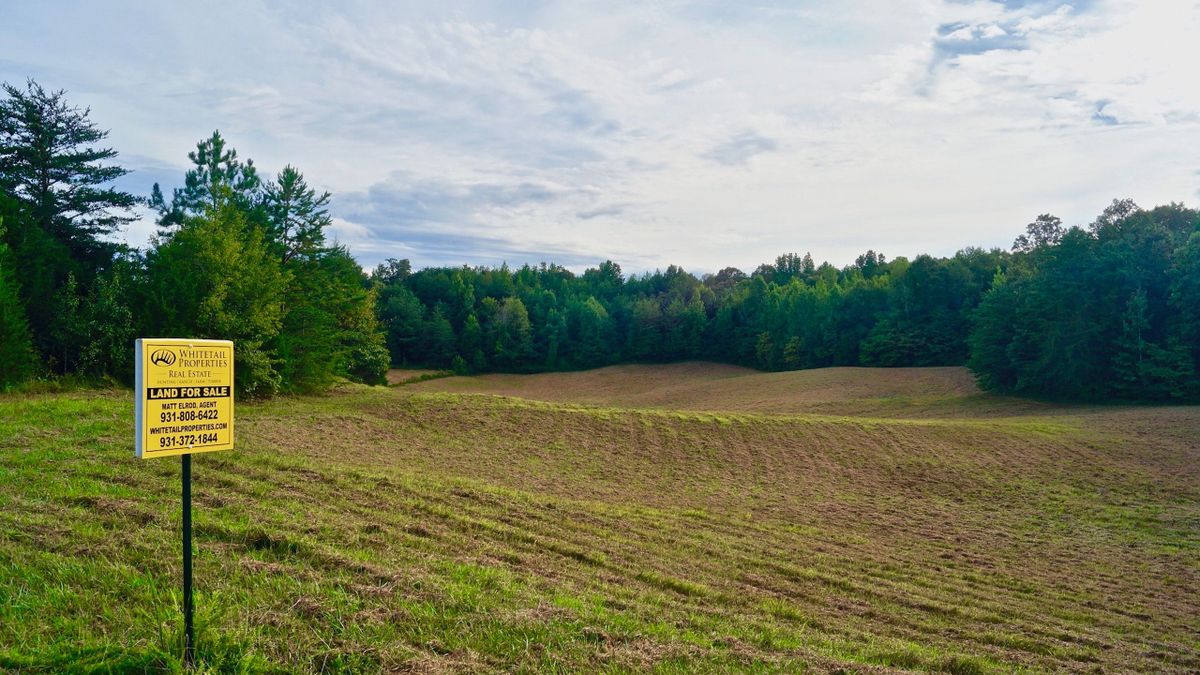 Unrestricted Acreage With Building Sites And Utilities Available