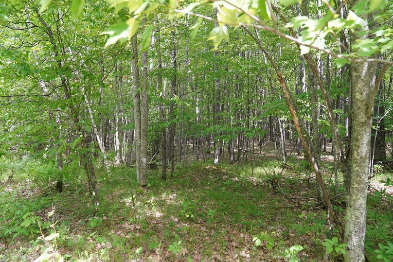 Burnett80ailport-009