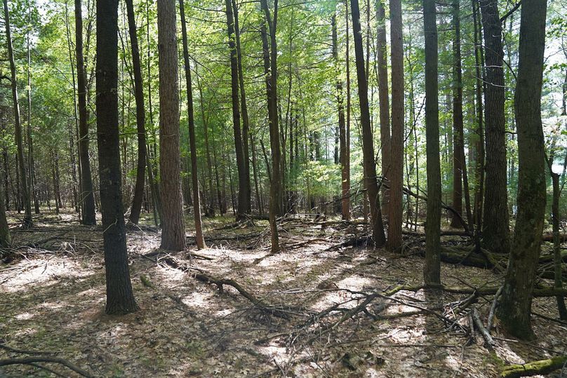 Burnett80ailport-014