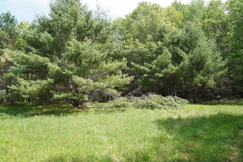 Burnett80ailport-016