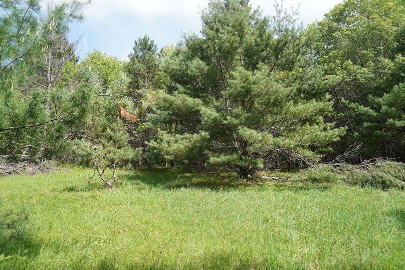 Burnett80ailport-017