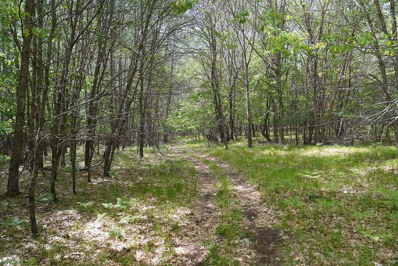 Burnett80ailport-018