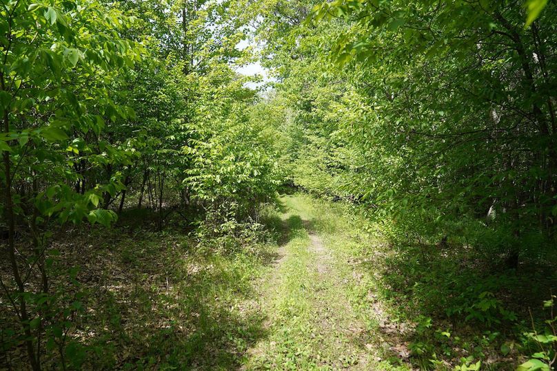 Burnett80ailport-010