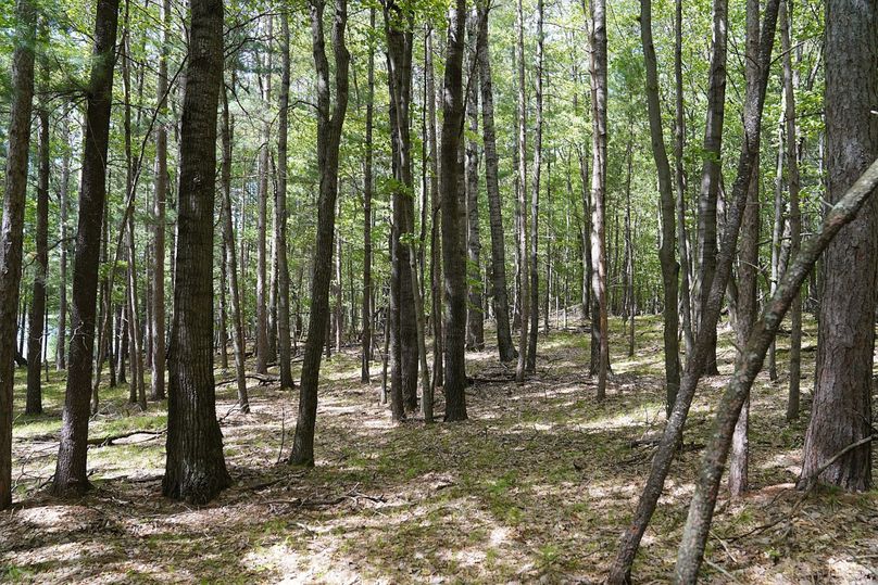 Burnett80ailport-011