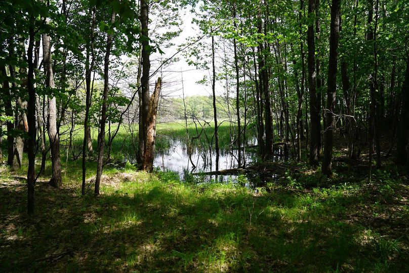 Burnett80ailport-024