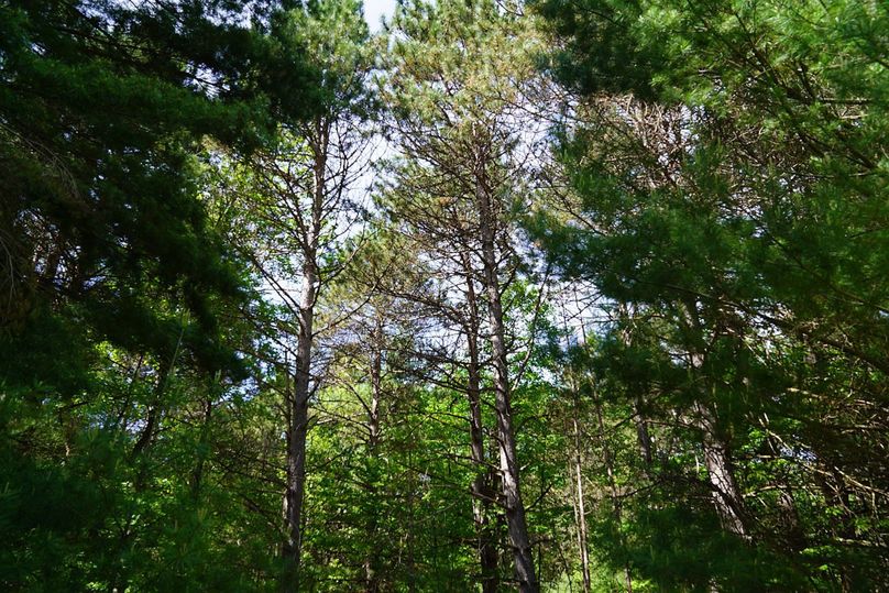 Burnett80ailport-023