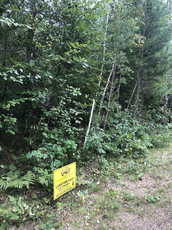 Washburn7.65prescott-009