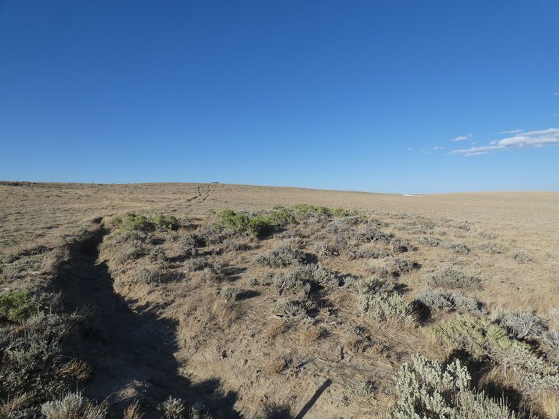 A4d65dca-2874-4281-aed6-f4159c6e72d3