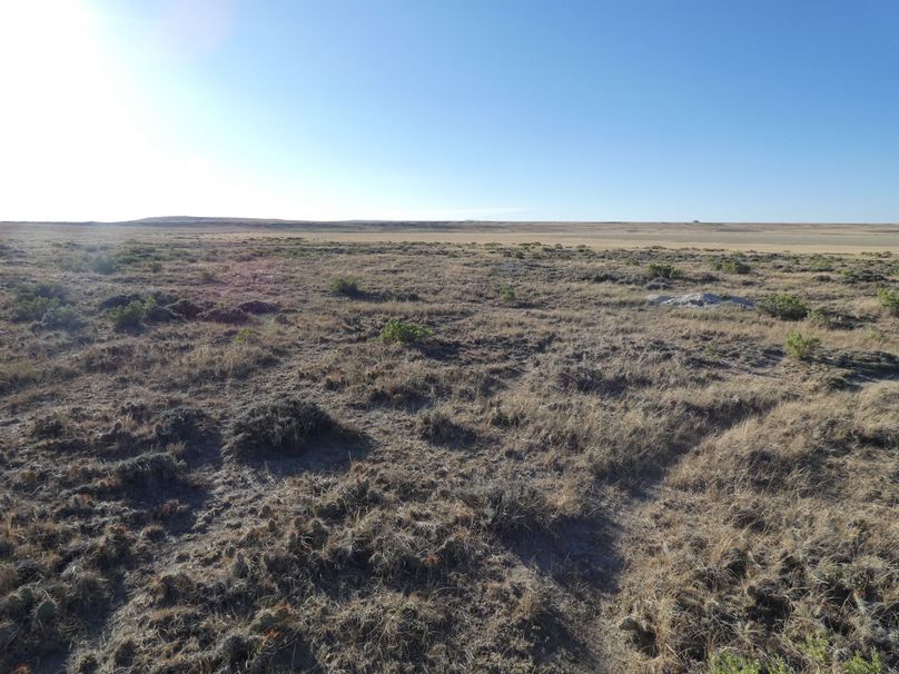 A8aabedf-30c7-4d87-b0b9-7b6e25115352