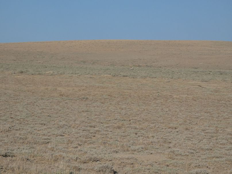 A13ff04f-0db3-4d26-8a84-c7724cc28c39