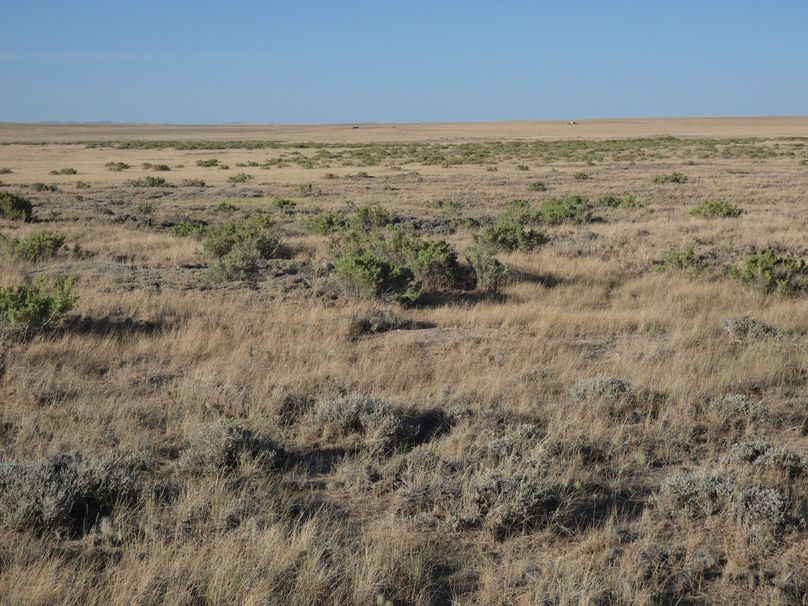 C5a6eb9a-3ad4-43c5-8bb6-2ac42b21fdbb