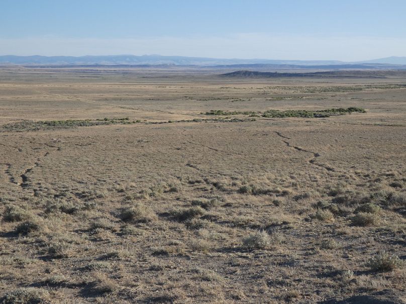 C0c18cb1-6dd9-4c4b-acb9-8f6f5b2a08c8