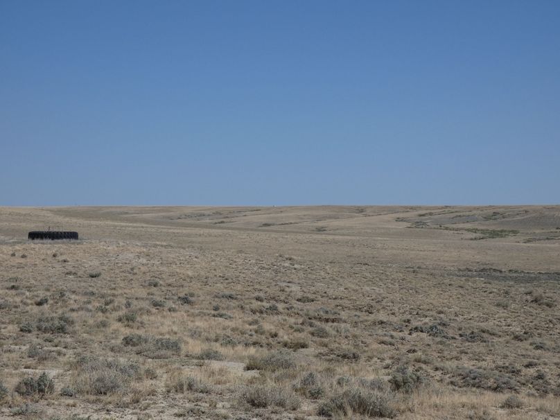 Cc127b33-31c0-498d-8dcb-c772add5f37f