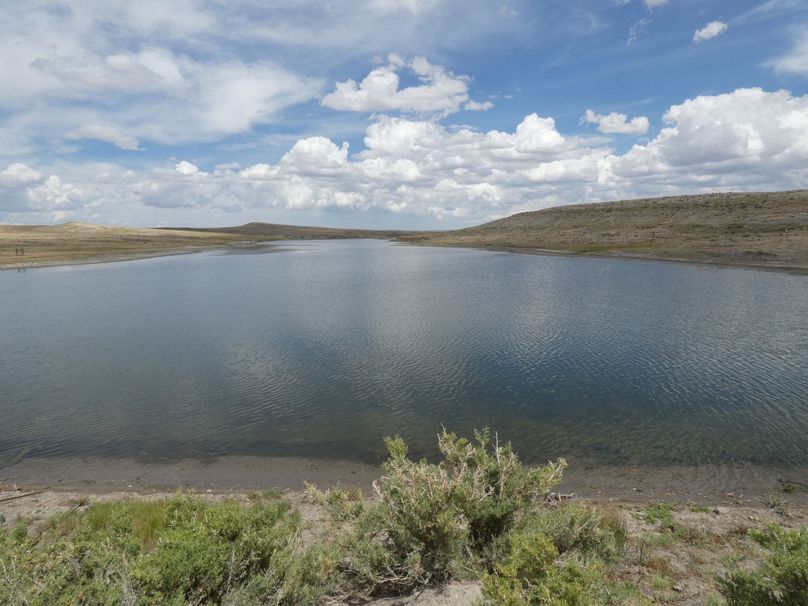 Copy of 515acrefishinglakeforowners