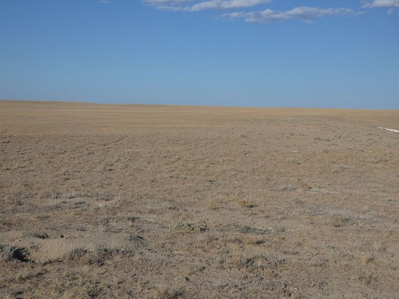 D4146a1f-15e0-4619-9c80-f709a667787a