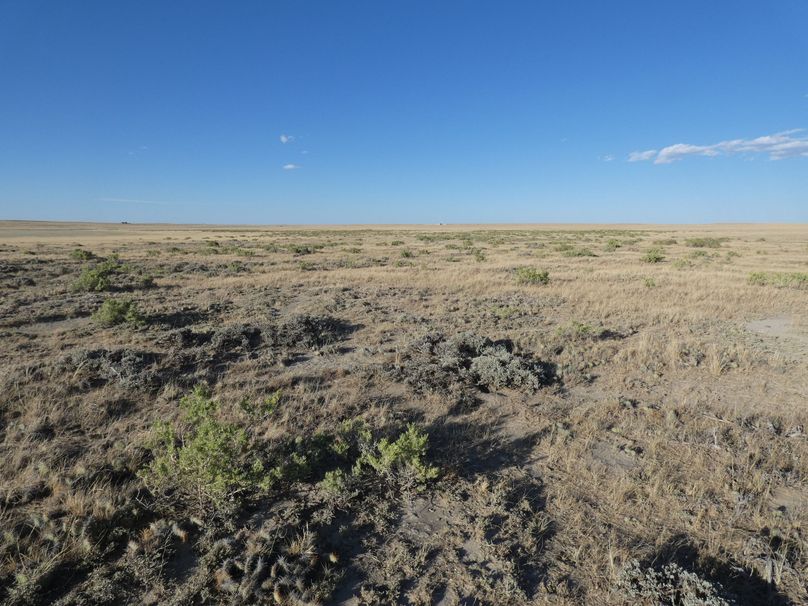 D056c24e-b771-46ed-8474-586803219cf6