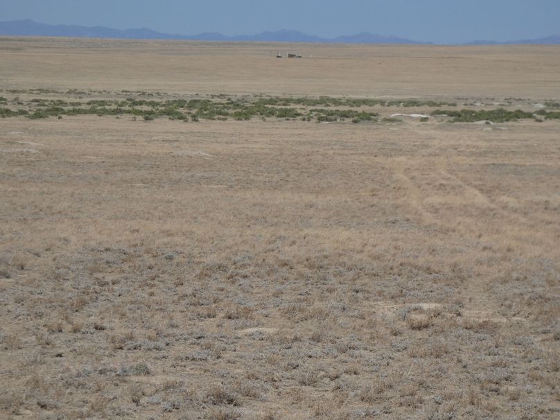 Df2aed64-b080-4796-a870-ad513db91eae