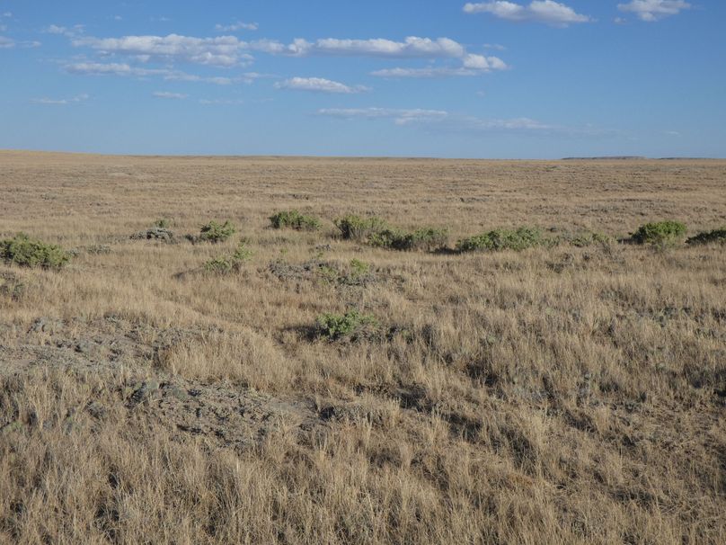 E622057d-a84b-481d-8b95-ebebdeb9681b