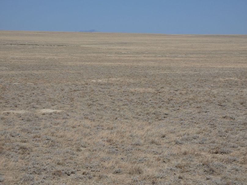 E13ca6f2-33c1-4e45-a675-5bd6e16ae7ba