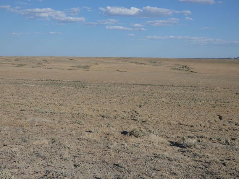 F9ff5966-2c9d-45ea-aa13-0edb8d534d73