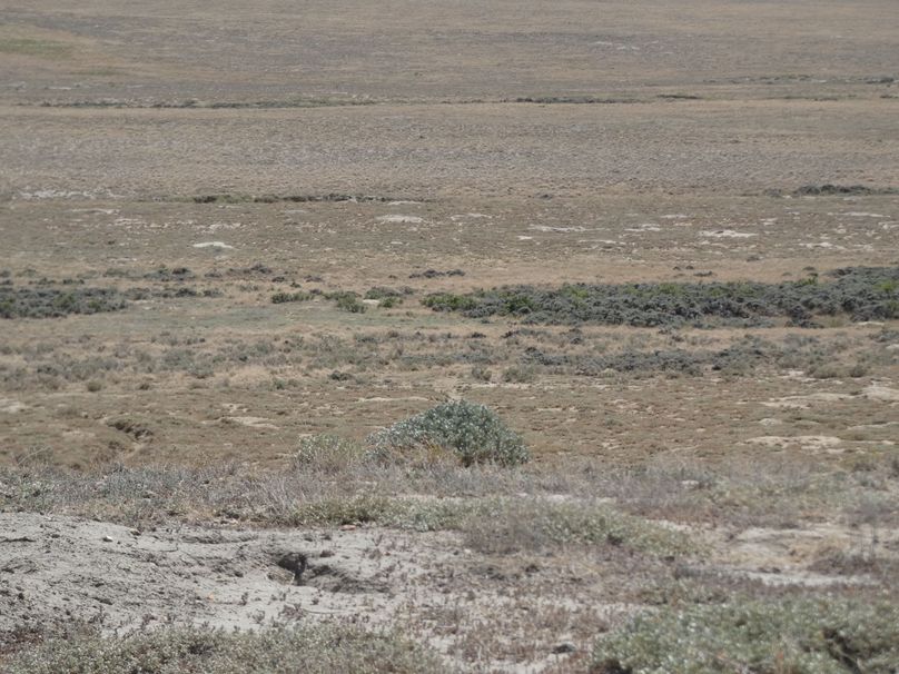 Fa849e91-718b-4012-b631-00f329ebe059