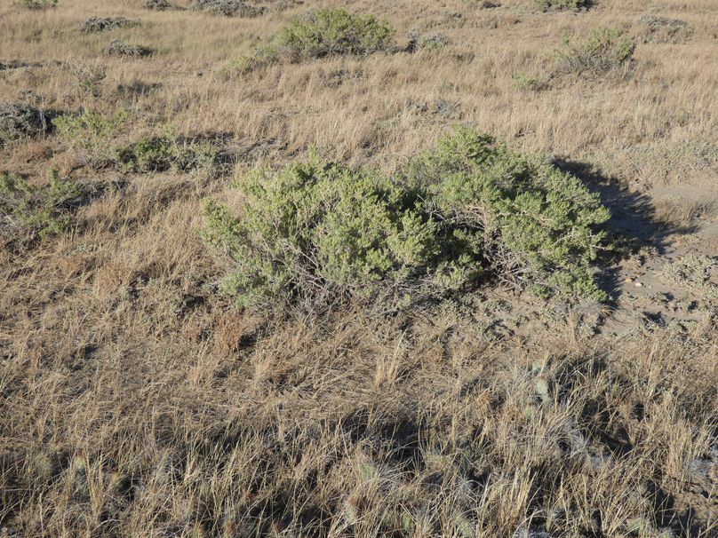 Fd2ec444-e8e9-4177-a1d5-0a792cc0e489