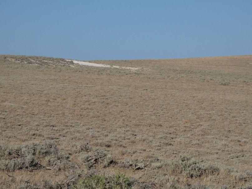 0c872955-0d8c-426c-b7b9-e72bfabec00f