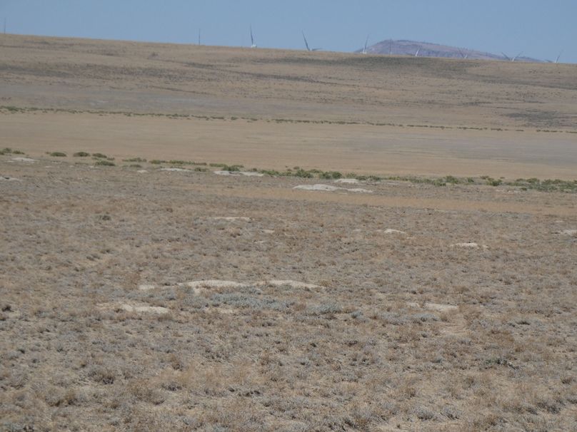 1612f5c1-c22d-4dc4-8a9e-c28261f7cef0