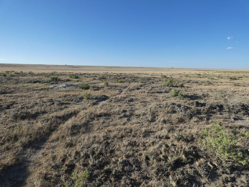 12a4c5c5-74c4-47c7-a375-82976b0d24ee