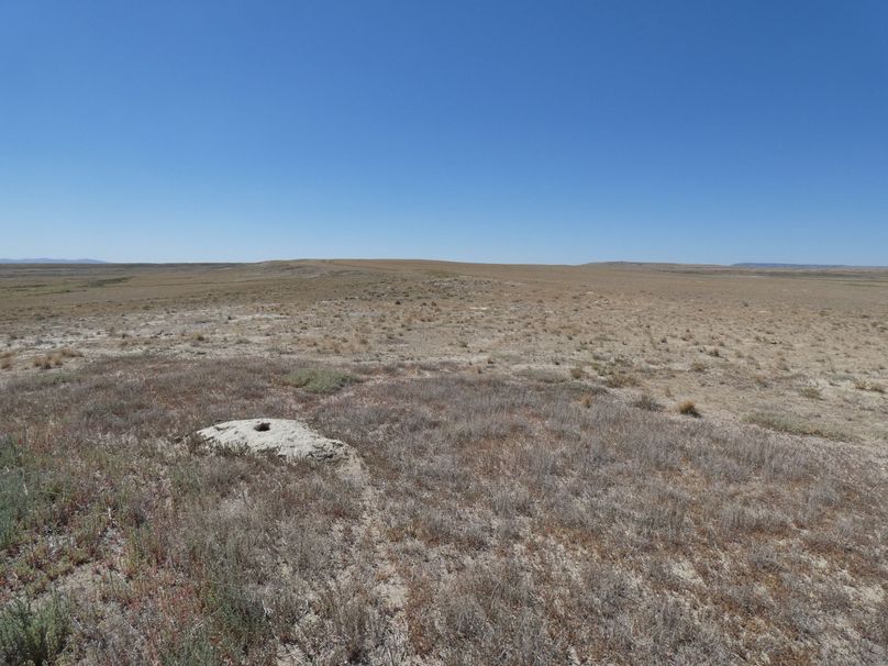 1fd64009-5e6f-4003-87a6-e75c78a2f924