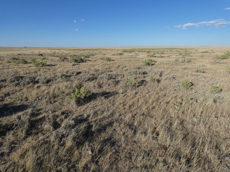 26397319-8c8f-4679-b8d0-fec87c4fe3af