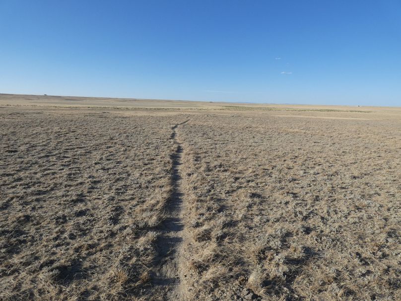 2661bf8d-7a74-4a6e-9bb1-7ca94bb3812c