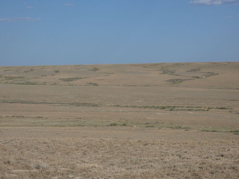 2f23c0f4-7181-474a-bb3f-9646bf1f667e